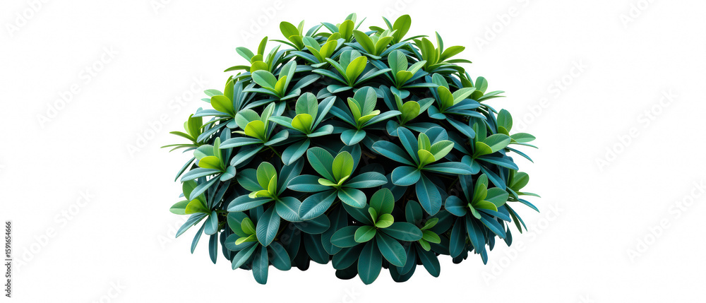 Fototapeta premium Lush green shrub with dense foliage, featuring vibrant leaves in various shades of green, perfect for landscaping or garden design