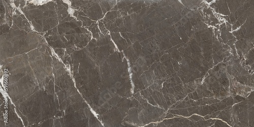 Wallpaper Mural Dark Gray Marble Surface with White Veins and Subtle Speckles	 Torontodigital.ca