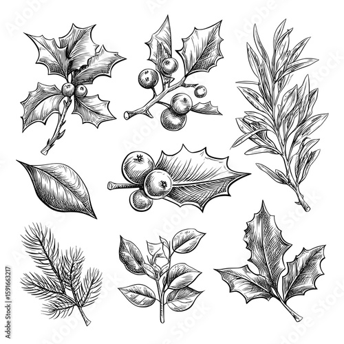 Hand drawn modern Christmas design including mistletoe, holly leaves, and holly berries