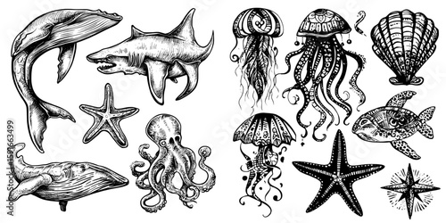 A modern set of underwater ocean doodles and design elements