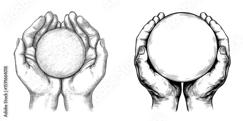 The illustration, drawn by hand, depicts a closeup of hands that are cupped around a round object