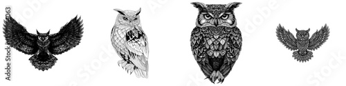 A contemporary owl design set against a white background, featuring birds and animals