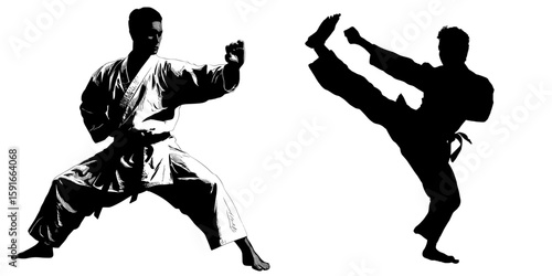 A karate fighter is depicted in a modern silhouette isolated on a white background