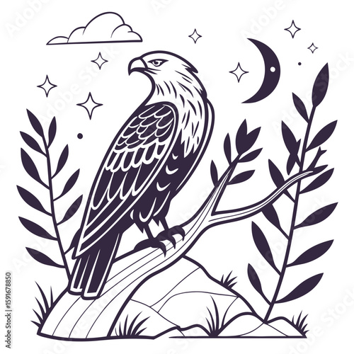 An eagle perched on a branch under the night sky