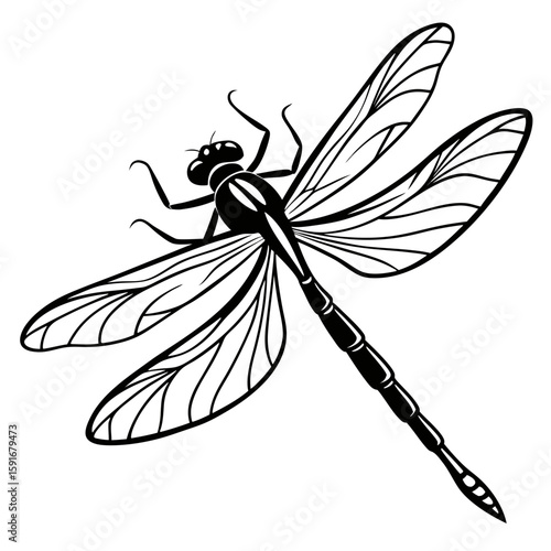 Black and white dragonfly illustration isolated on white background