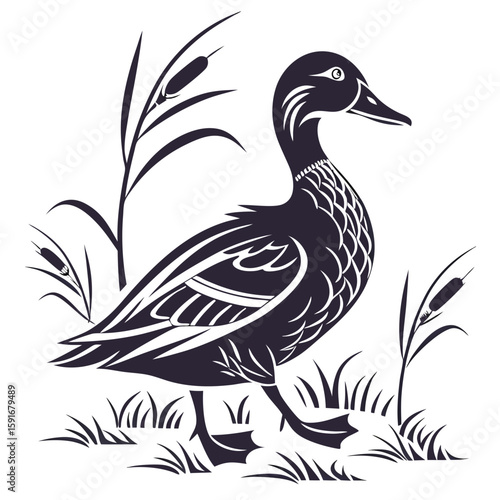 A duck stands in grass and reeds in a black and white illustration