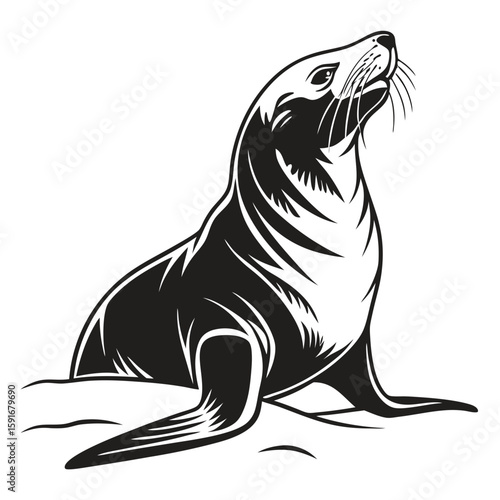 Stylized black and white seal looking upwards
