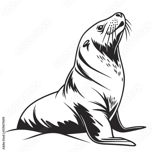 Stylized black and white seal looking upwards