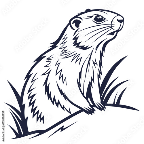 A groundhog sitting in the grass