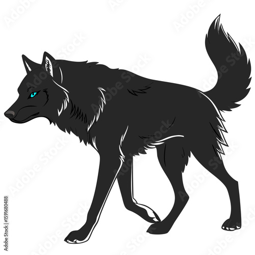 A black wolf with piercing blue eyes walks forward