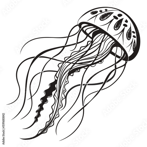 Artistic jellyfish with detailed tentacles, isolated on white background