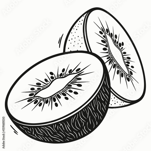 A detailed sketch of two halves of a kiwi fruit