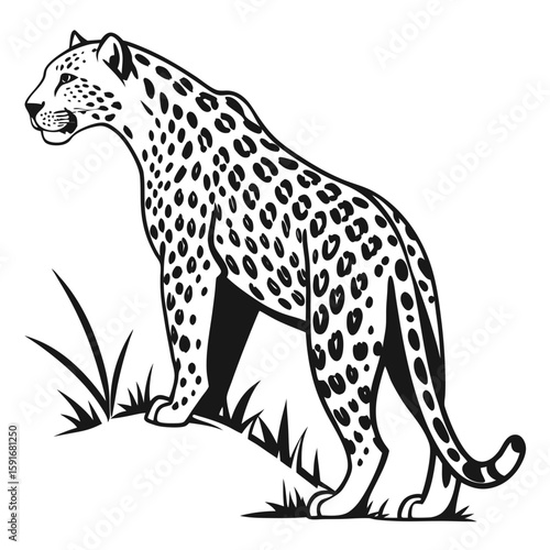 Leopard head in profile, black and white illustration
