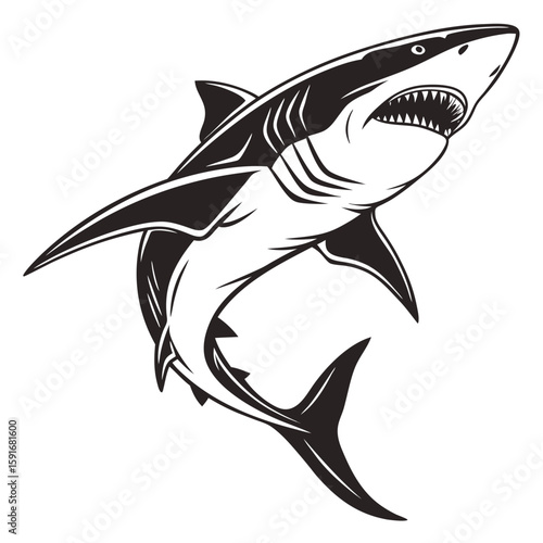 A dynamic shark illustration in a predatory pose