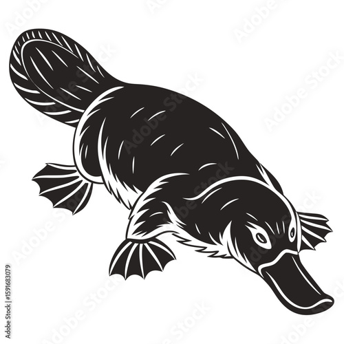 A black and white illustration of a platypus