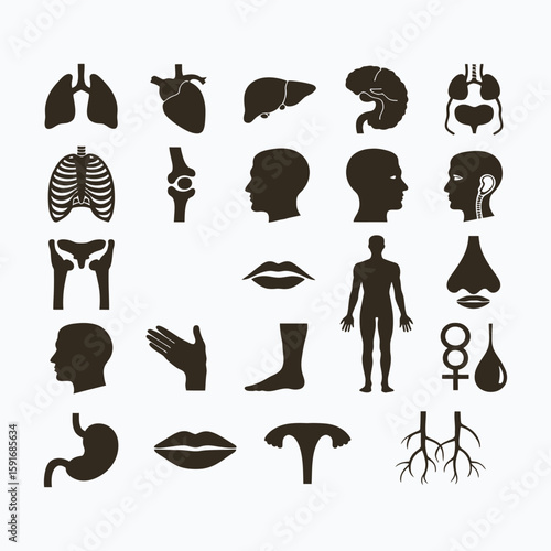 Collection of Dark Human Anatomy Icons and Symbols on White Background lungs heart