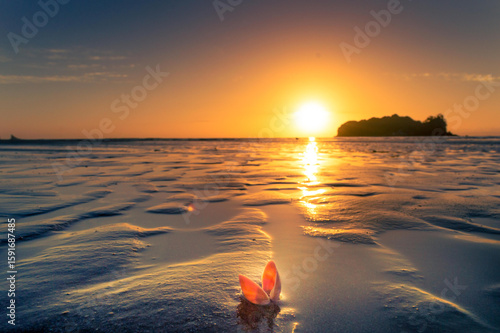 beach Nosara Guanacaste Costa Rica