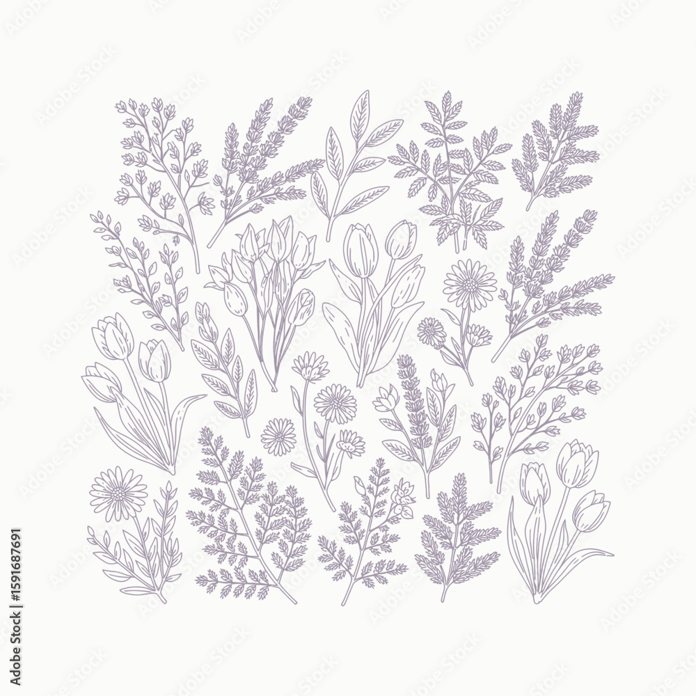 Fototapeta premium Purple outline floral botanical illustration with tulips daisies and lavender vector
