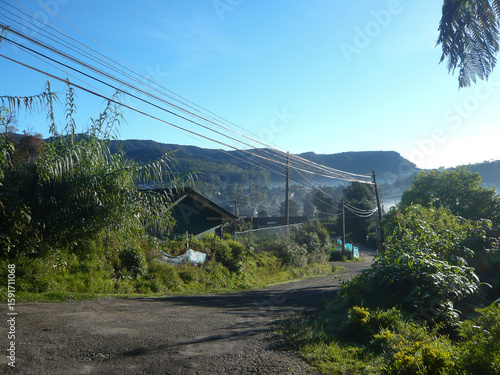 Rural road with electric poles and wires, green vegetation, and misty mountains in the background under clear morning sky.