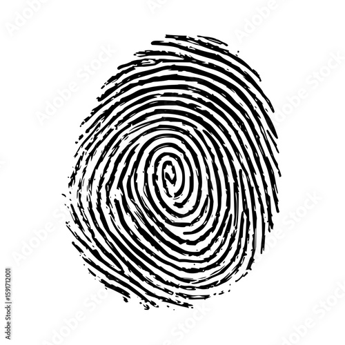 Detailed black and white fingerprint illustration showcasing unique ridge patterns and whorl formations on white