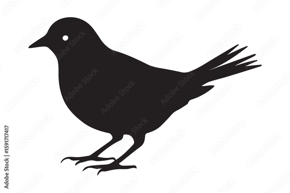 Obraz premium Canary Bird