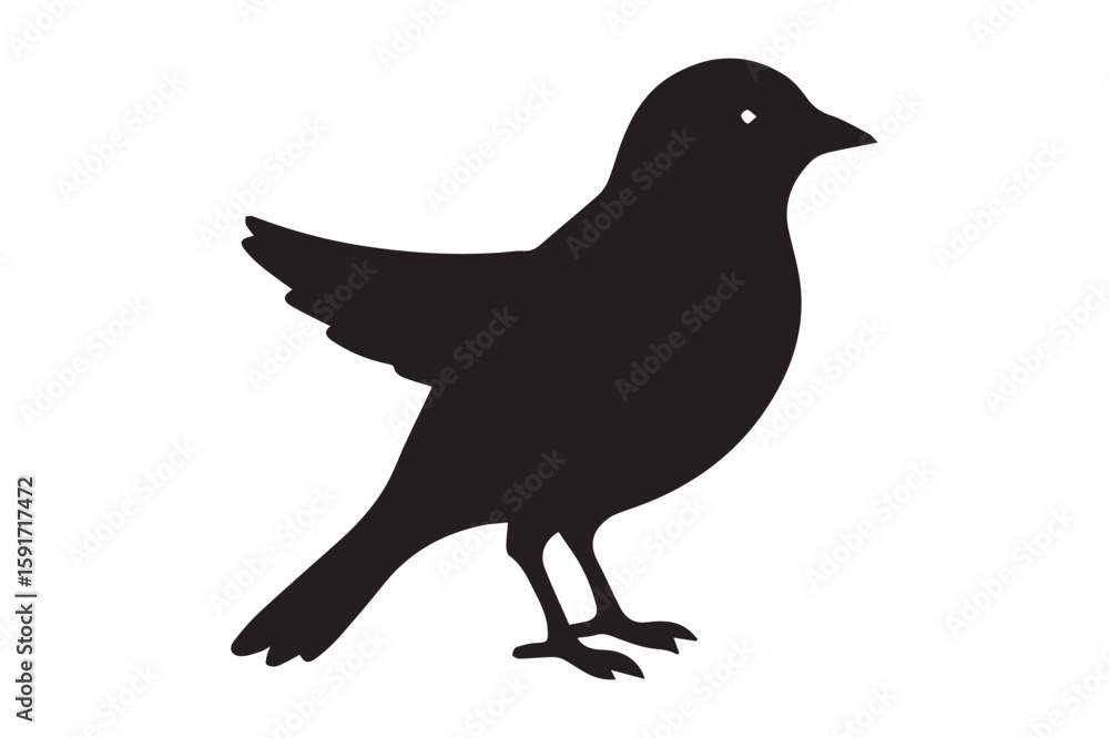 Obraz premium Canary Bird