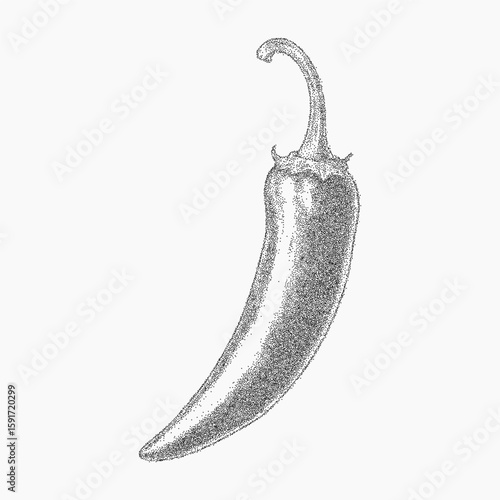 Pepper in black drawing. Hand drawn stipple with dotted shading, vintage copy grain and clear threshold edges.