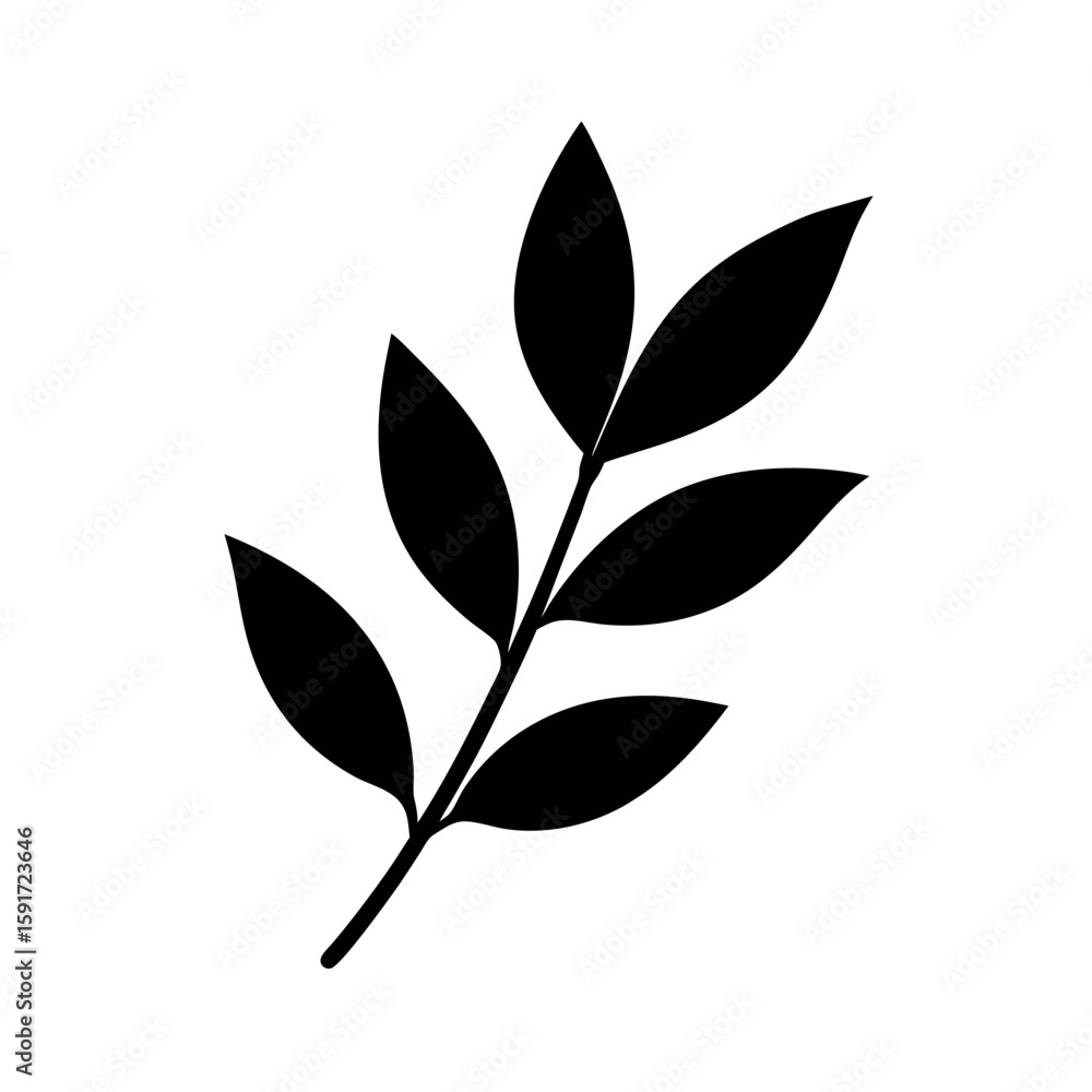Fototapeta premium Bay leaf branch with bold black illustration Line Art Vector illustration