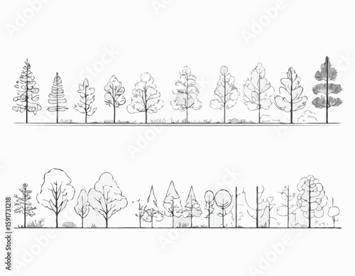 Architectural Drawings, Minimal style cad tree line drawing, Side view, set of section forest outline for landscape design drawing. Vector illustration