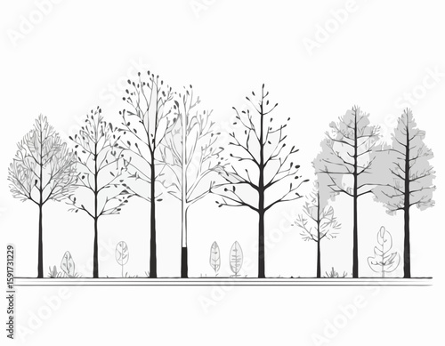 Architectural Drawings, Minimal style cad tree line drawing, Side view, set of section forest outline for landscape design drawing. Vector illustration