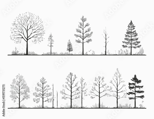 Architectural Drawings, Minimal style cad tree line drawing, Side view, set of section forest outline for landscape design drawing. Vector illustration