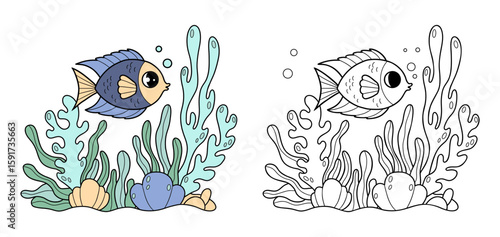 Photography Beautiful tropical fish with algae and corals on seabed and Coral Reef