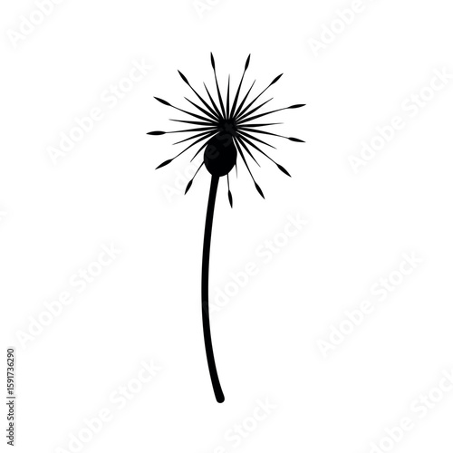 Dandelion seed floating with delicate detail Line Art Vector illustration