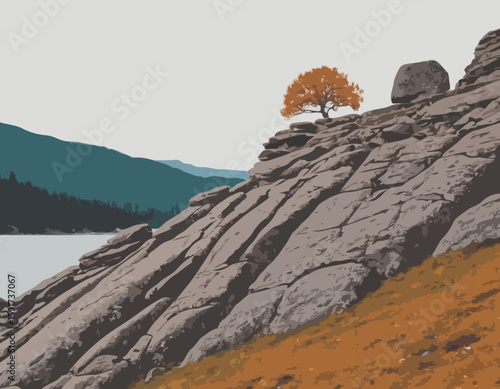 Ours brun sur une roche