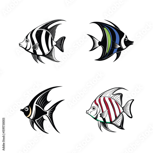 Set of four elegant angel fish icons for aquatic and marine themes on white background