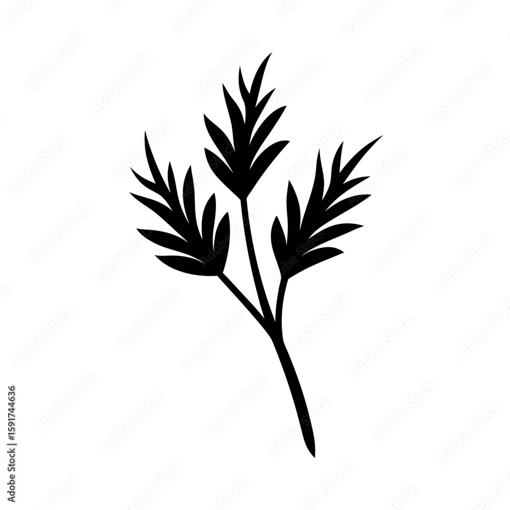 Naklejka premium Fennel leaves with delicate branching details Line Art Vector illustration