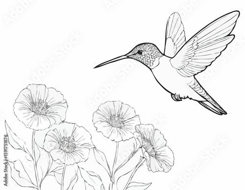 continuous single line drawing of hummingbird hovering while feeding at flower, line art vector illustration