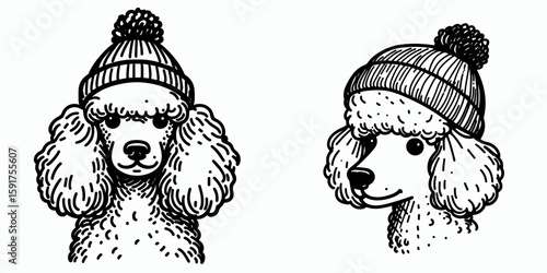 A Poodle Dog wear Beanie hat. Minimal Cartoon Animal Clipart Silhouette Vector Line Art Illustration. Curly canine in knitted head covering pet with winter headgear.