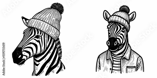 A Zebra wear Beanie hat. Minimal Cartoon Animal Clipart Silhouette Vector Line Art Illustration. Striped equine in knit head covering comical with winter apparel.