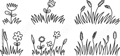 Hand-drawn Grass and Flower Vector Set – Botanical Line Art Illustration