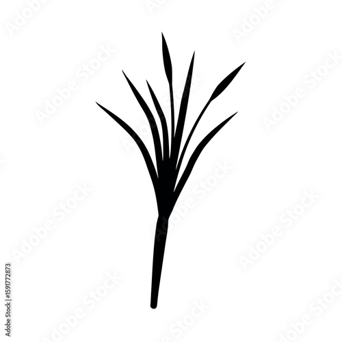 Simple lemongrass stalk in elegant black form Line Art Vector illustration