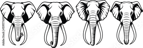 Several elephant heads are displayed in a stylized, black and white graphic illustration offering a bold and striking wildlife concept.