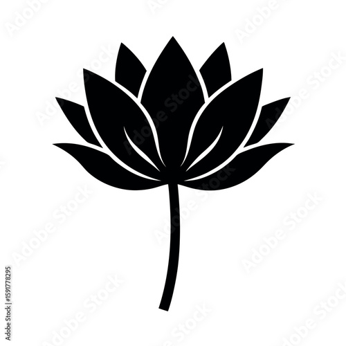 Minimal lotus stem in clean botanical layout Line Art Vector illustration