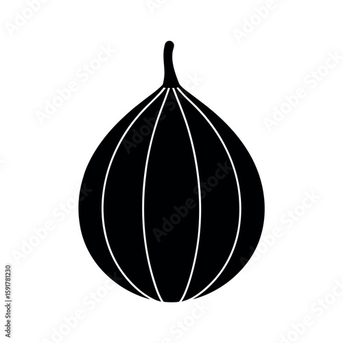 Simple nutmeg pod drawing with natural curves Line Art Vector illustration