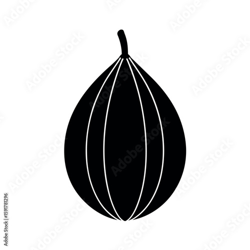 Bold nutmeg seed pod art in black linework Line Art Vector illustration