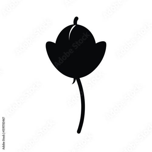 Minimal poppy seed capsule botanical art Line Art Vector illustration