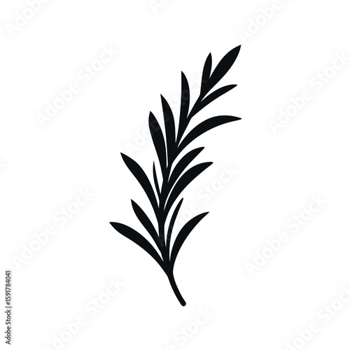 Rosemary sprig detailed in thin black lines Line Art Vector illustration