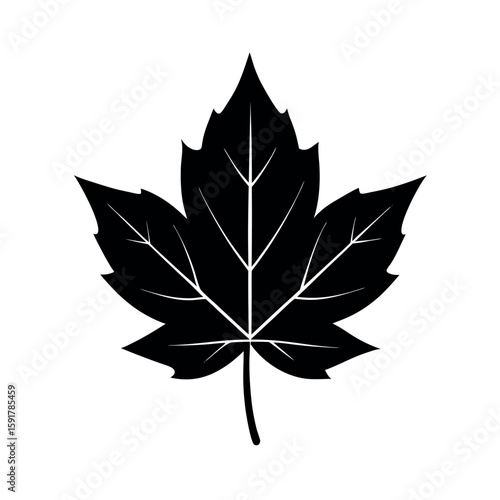 Maple like sycamore leaf in fine detail Line Art Vector illustration