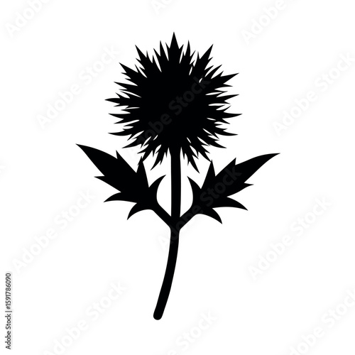Wallpaper Mural Simple black thistle branch with clean details Line Art Vector illustration Torontodigital.ca