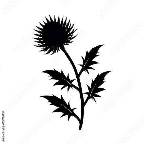 Wallpaper Mural Minimal thistle branch in monochrome style Line Art Vector illustration Torontodigital.ca
